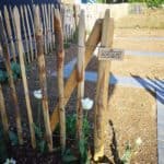 Staketenzaun aus Kastanie 100 cm Adequat