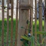 Staketenzaun aus Kastanie 150 cm Adequat