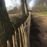 Staketenzaun aus Kastanie 100 cm Adequat