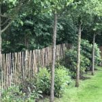 Staketenzaun aus Kastanie 120 cm Adequat