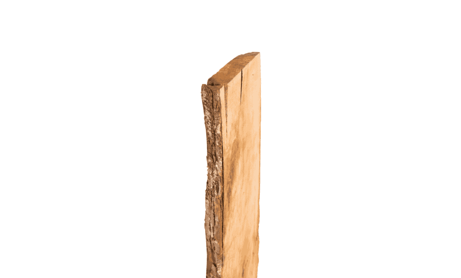 Eichenholz Bretter - Eichenbretter mit Baumkante / Waldkante