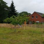 Fr. Staketenzaun Kastanien 120 cm Hoch, Latten-Abstand 4 cm