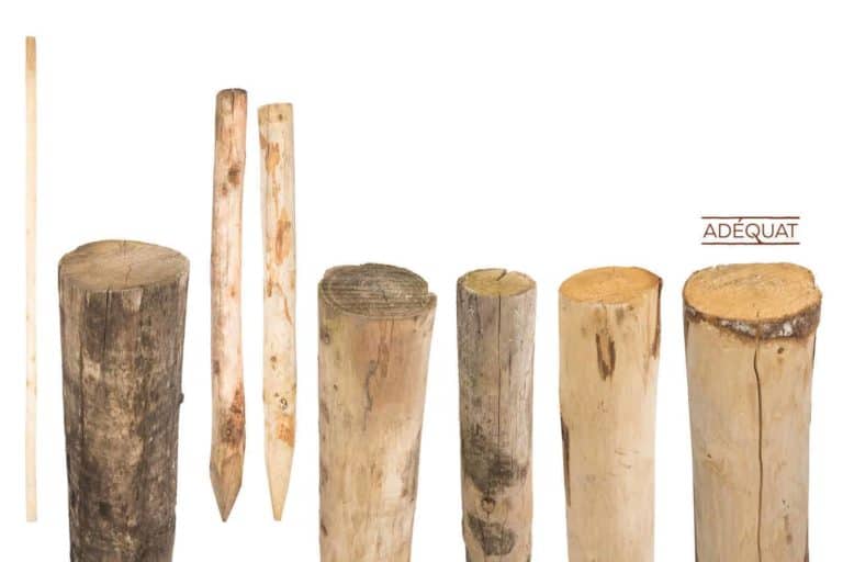 Holzpfahl Holzpfosten