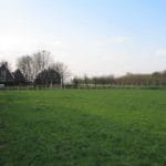 Zaunriegel - Traditioneler 1/4 Riegel aus Kastanie - Post and Rail Fencing - System 2