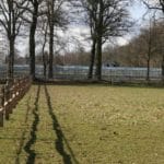 Zaunriegel - Traditioneler 1/4 Riegel aus Kastanie - Post and Rail Fencing - System 2