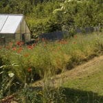 Staketenzaun Kastanie 100 cm hoch, 10 cm Lattenabstand