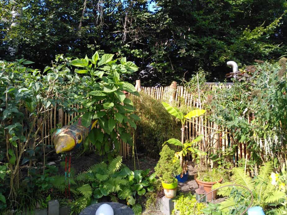 Gemüsegarten Zaun Adéquat