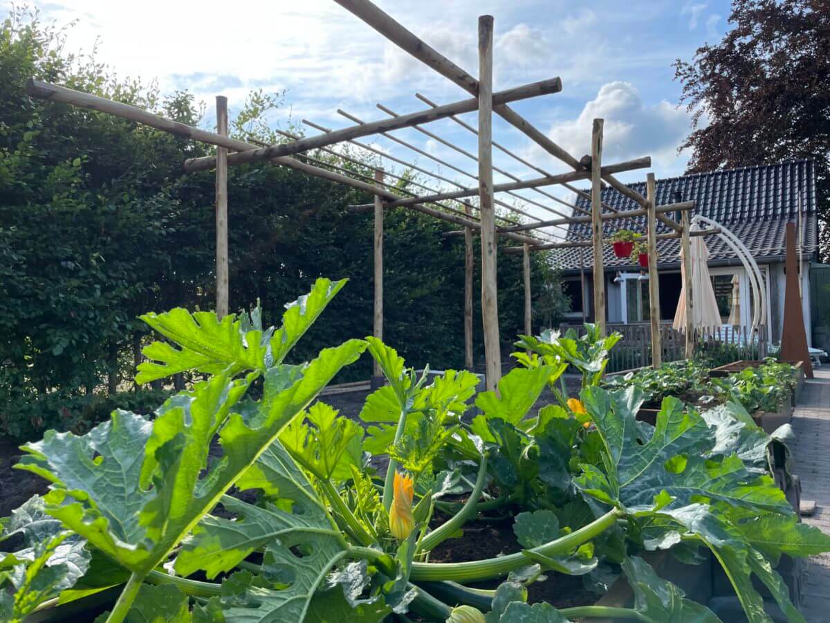 Gemüsebeet anlegen Gemüsegarten Beeteinfassung & Hochbeet Adéquat