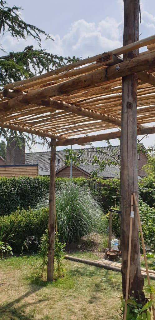 Pergola Holz: Kastanienpfähle und Staketenzaun aus Kastanie als Dach