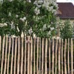 Fransk kastanjehegn 120 cm Adequat