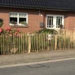 Fransk kastanjehegn 100 cm Adequat