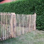 Fransk kastanjehegn 120 cm Adequat