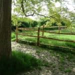 Hestehegn