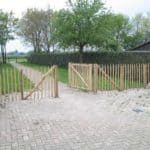 Fransk kastanjehegn 120 cm Adequat