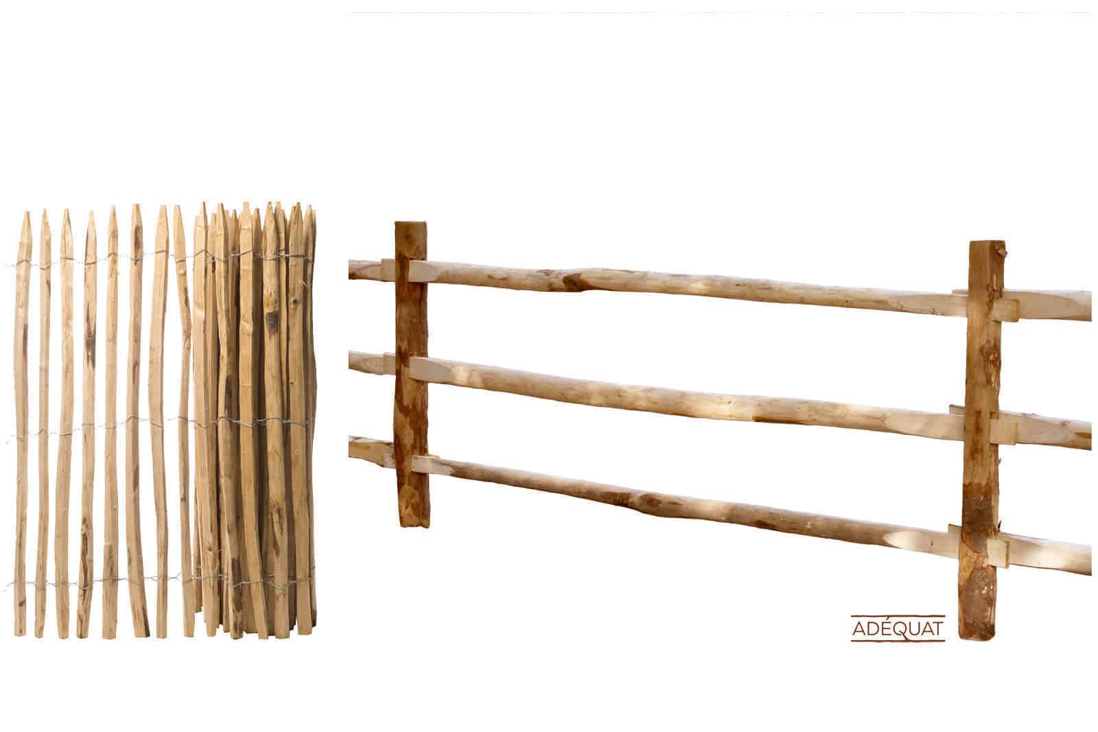 Placement de carrière pour chevaux Adéquat châtaignier Belgique