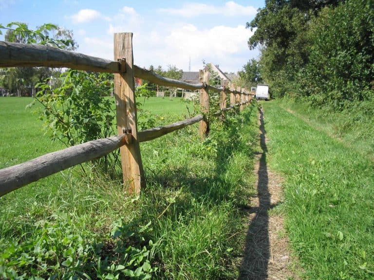 Post & Rail châtaignier, 2-niveaux lisses de un quart et montants demi ronds