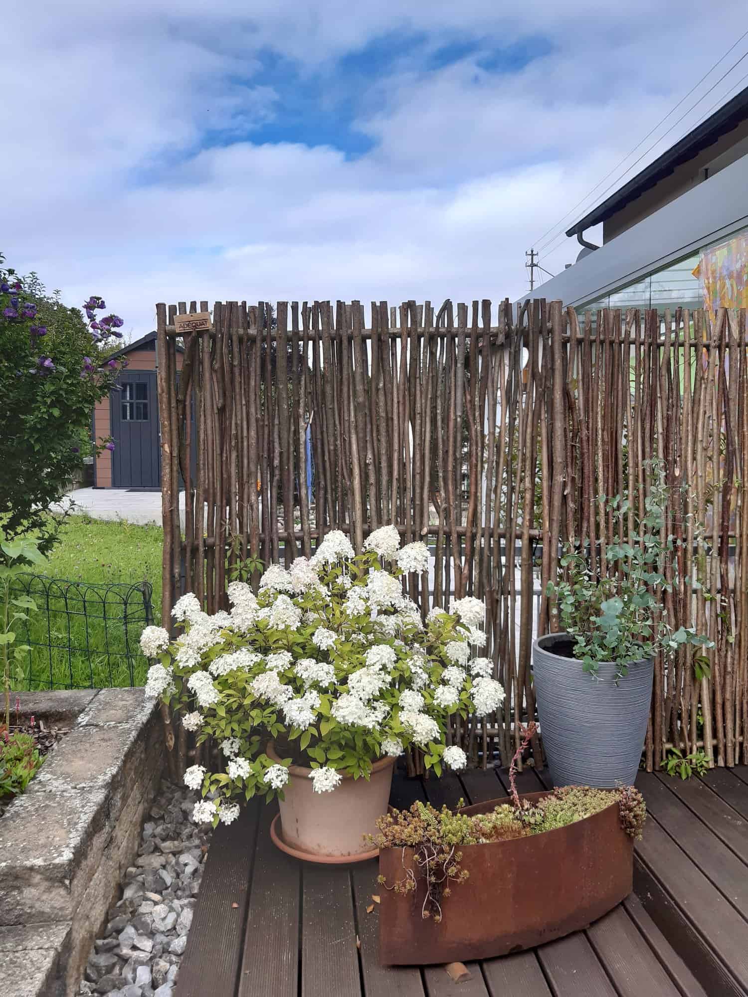 Example de notre brise-vue noisetier, tressé verticalement en bois de noisetier, dimensions 150 x 180 cm, paravent, écran de jardin, clôture naturelle