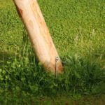 Aire de jeux en bois - Adéquat