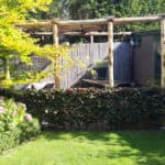 Pergola