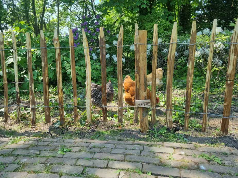 Clôtures de jardin  Conseil de prix & infos sur le placement de clôtures