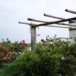 Kastanjehouten palen 7-9 cm | Adéquat