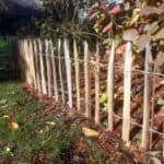 Frans Schapenhek 50 cm Adequat