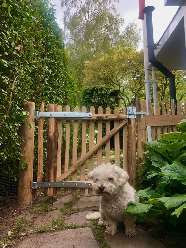 Franse rondhoutpoort van 80 cm bij 80 cm als doorgang naar een tuin met een hondje dat voor de poort zit.