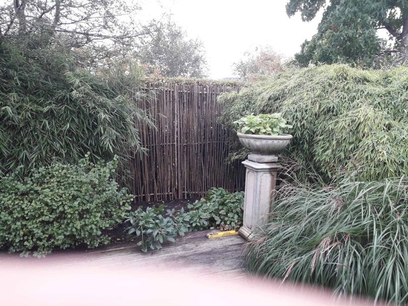 Hazelaarscherm Loire 1 gebruikt in de tuin als afrastering achter wat struiken.