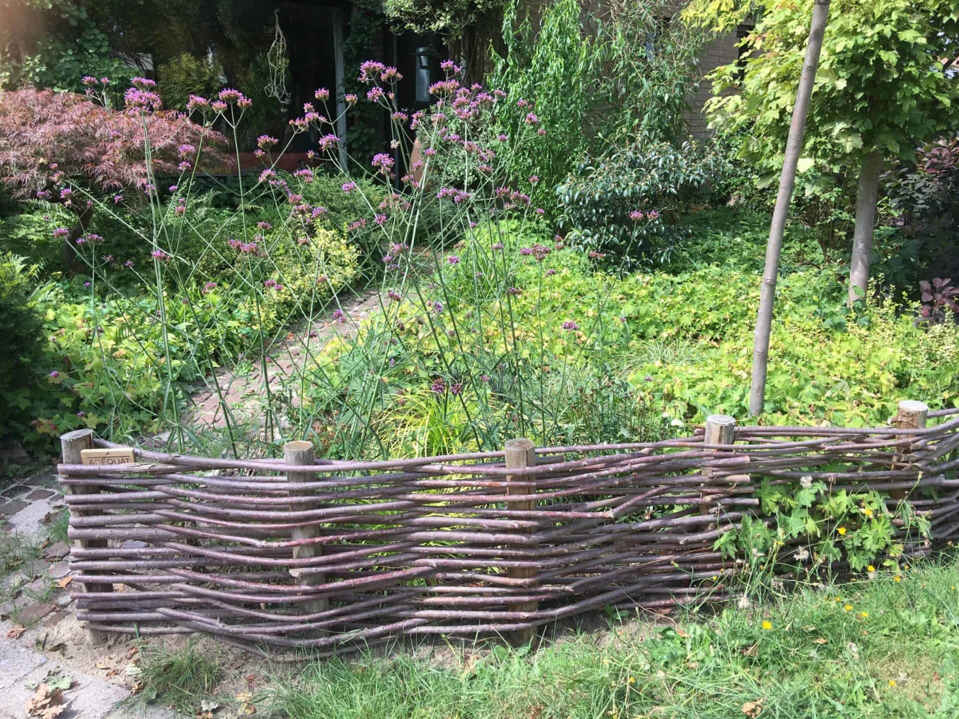 We hebben ze weer! Verse wilgentenen te koop! Adéquat