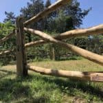 P&R robinia in combinatie met schapenhek