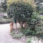 Schapenhek 80 cm Adequat