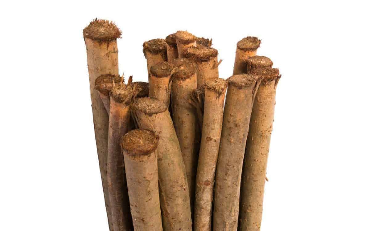 Wilgentenen