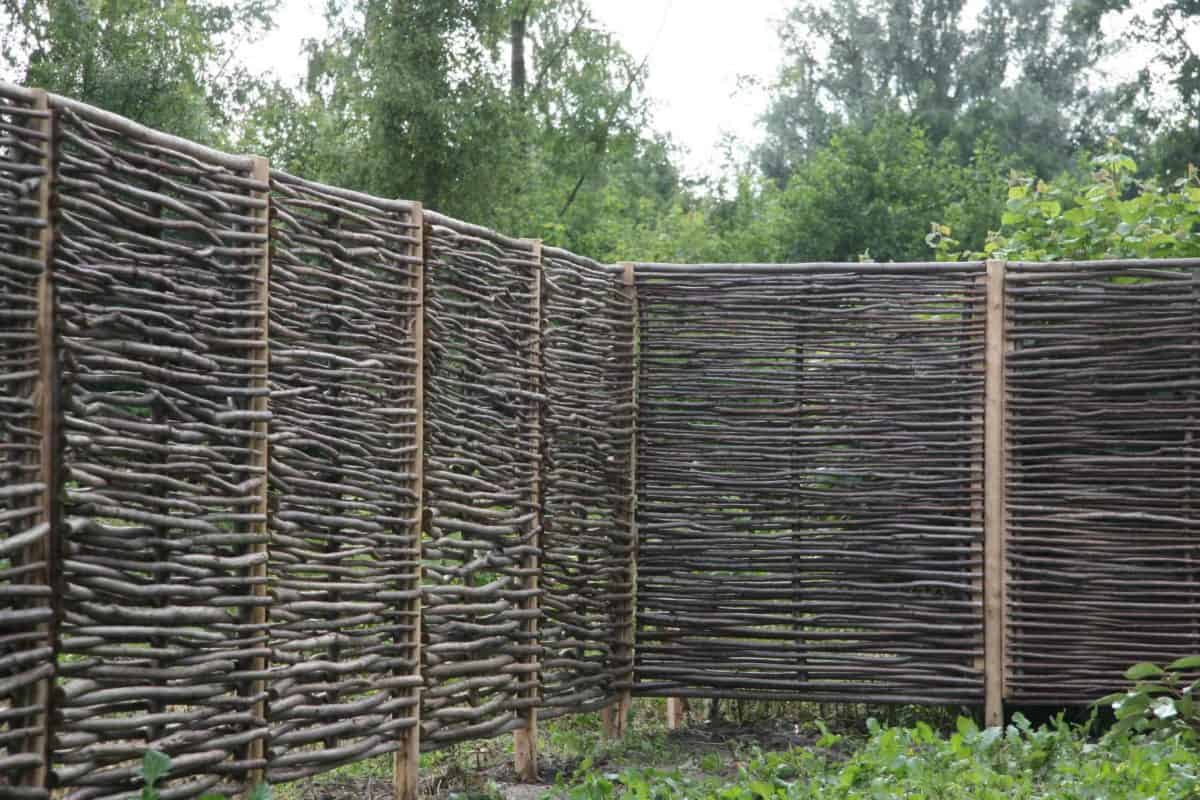 Hazelaarscherm Adéquat