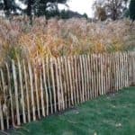 Frans Schapenhek 100 cm Adequat