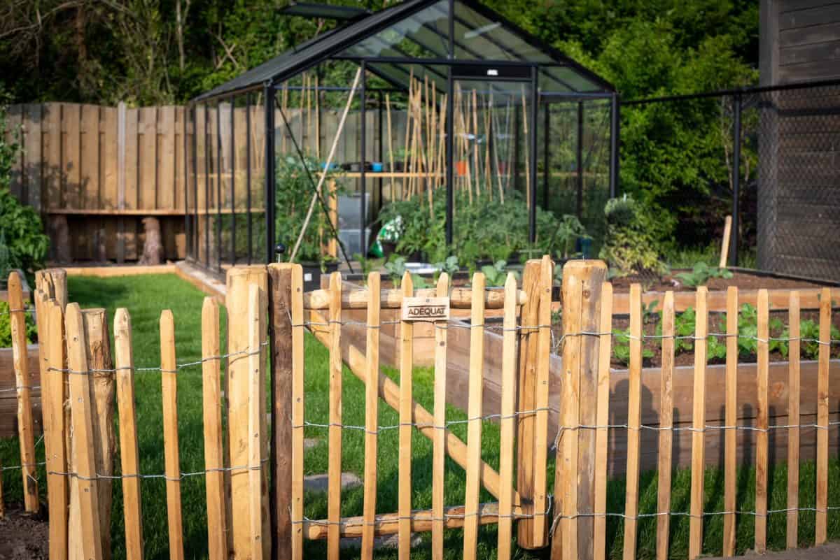 Schapenhek robinia 80 cm met latafstand 8 cm en een raamwerkpoort 80 cm x 80 cm
