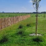 Robinia hekwerk 100 cm h met 4 cm latafstand