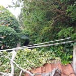 Pergola maken | Kastanje palen | Adéquat