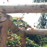 Pergola maken | kastanje houten palen | Adéquat