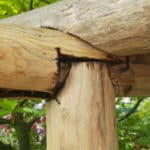 Pergola bouwen kastanjehout palen diameter 10-12 cm| Adéquat