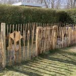 Schapenhek Frans 100 cm Adéquat