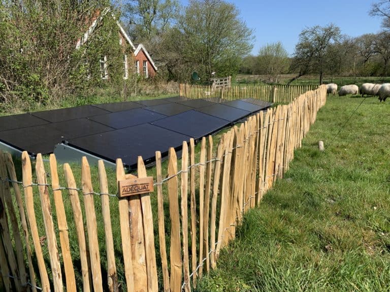 Schapenhek kastanje 80 cm hoog Adequat