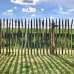 Frans Schapenhek 100 cm Adequat