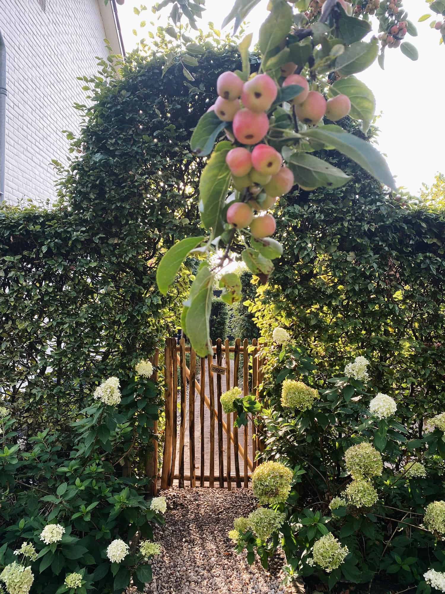 Op maat gemaakte franse rondhoutpoort van 85 cm breed en 120 cm hoog. Poort is geplaatst in een doorgang bij een booghaag in een tuin.