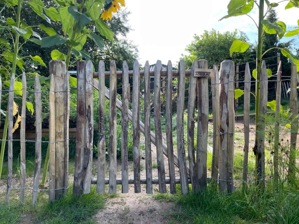 Franse rondhoutpoort van 100 cm hoog bij 100 cm breed geplaatst tussen schapenhek als afrastering in een tuin.
