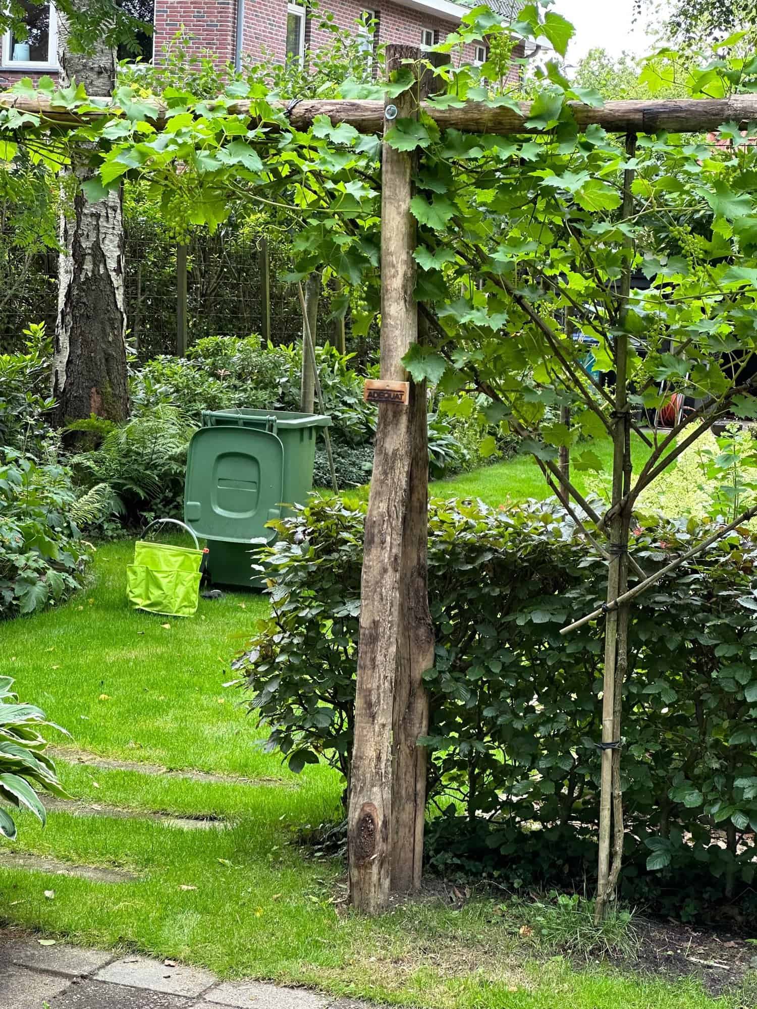 Robinia paal 8/10 cm diameter en 300 cm lang gebruikt om een pergola te maken in een groene tuin.