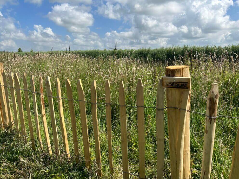 Frans schapenhek 80 cm hoog met een latafstand van 8 cm met kastanje palen van 150/160 cm lang met een diameter van 10-12 cm als omheining bij een stuk natuurbeheer perceel