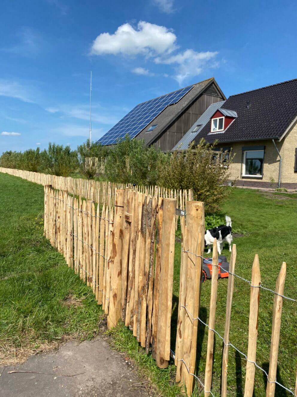 Franse rondhoutpoort enkel 080Bx120H (cm) met kastanje schapenhek 100 cm hoog, latafstand 10 cm met kastanje paal 150/160 cm lang, diam. 7/9 cm en 175 cmlang, diam. 10/12 cm