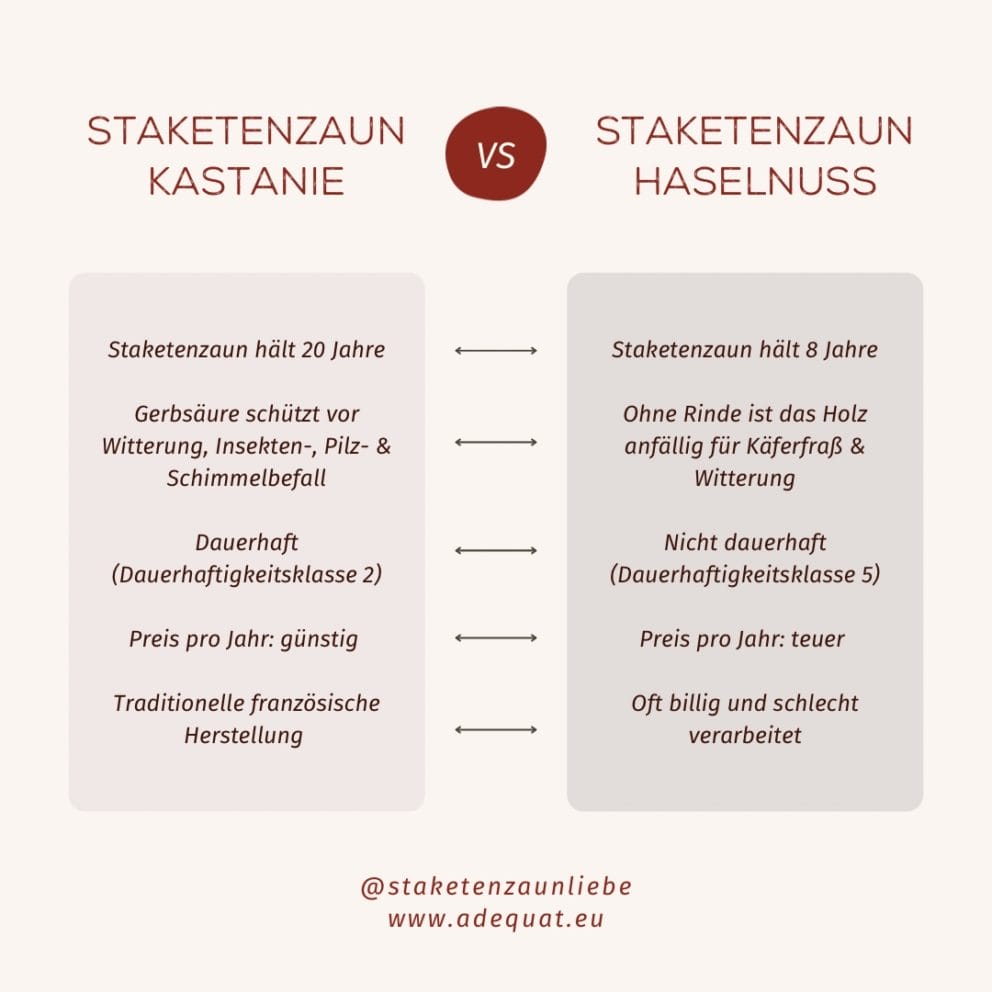 Staketenzaun Haselnuss oder Kastanie