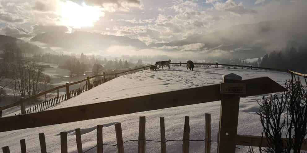 Staketenzaun Berge